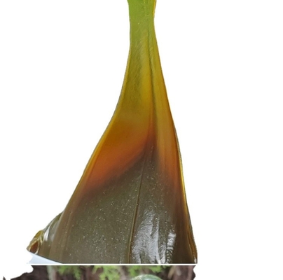 산업용 윤활료 고압 조건용 중량 리?? 합성 지방