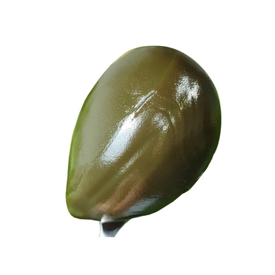 직물 산업의 중공기계용 합성 윤활유 및 신뢰성