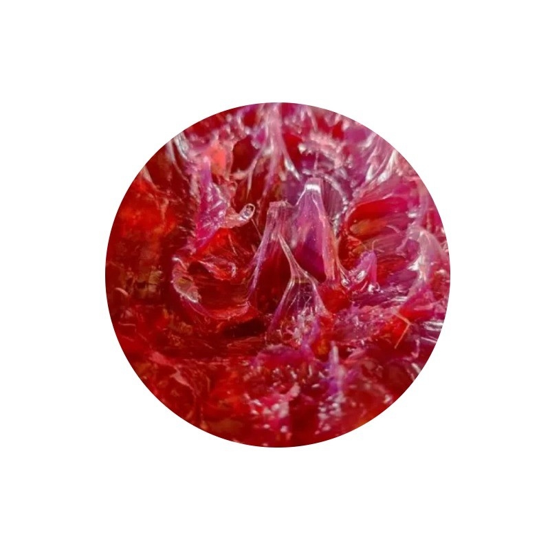 전문 NSF 인증 흰색과 빨간색 PTFE 리?? 기름을 발굴기와 트럭에 사용